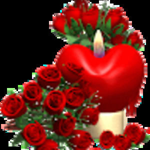 Meet your Posher, Gloria